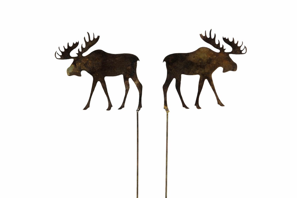 Älg Stick