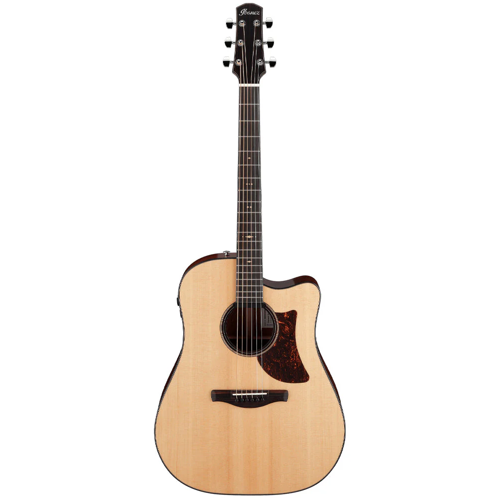 Ibanez AAD400CE-LGS m/mik & case - Bild 2