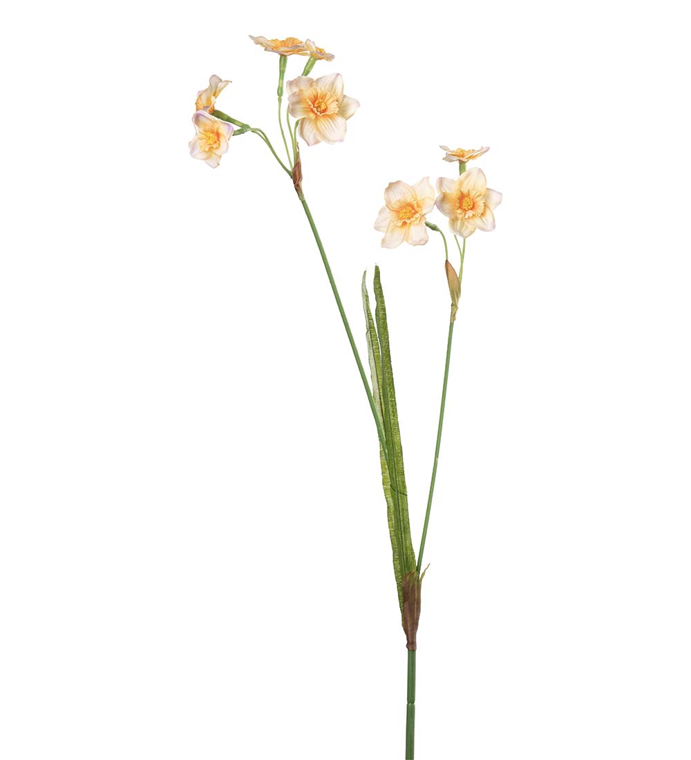 Narciss 55cm Orange - Bild 2